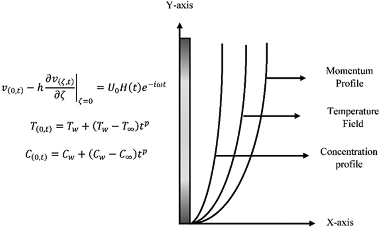 Figure 1 
                  Physical flow of problem.
               