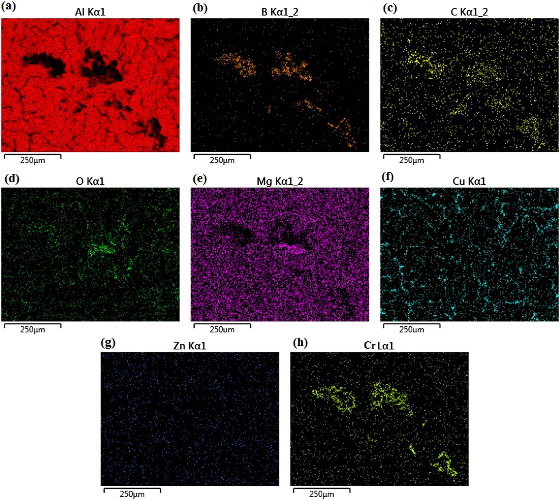 Figure 6 
                  SEM images of green hybrid composites with ball-milled reinforcing fragments at different magnification reinforcing fragments: (a) element mapping of Al, (b) element mapping of B, (c) element mapping of C, (d) element mapping of O, (e) element mapping of Mg, (f) element mapping of Cu, (g) element mapping of Zn, and (h) element mapping of Cr.
               
