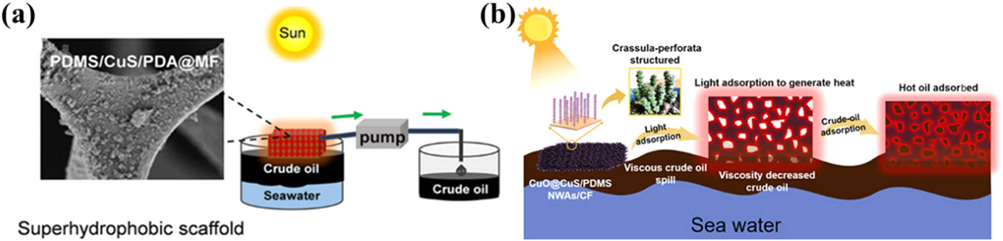 Figure 1 
                  (a) Solar-assisted in situ crude oil recovery [53]. (b) CuO@CuS/PDMS NWA growth and crude oil adsorption diagram [54].
               