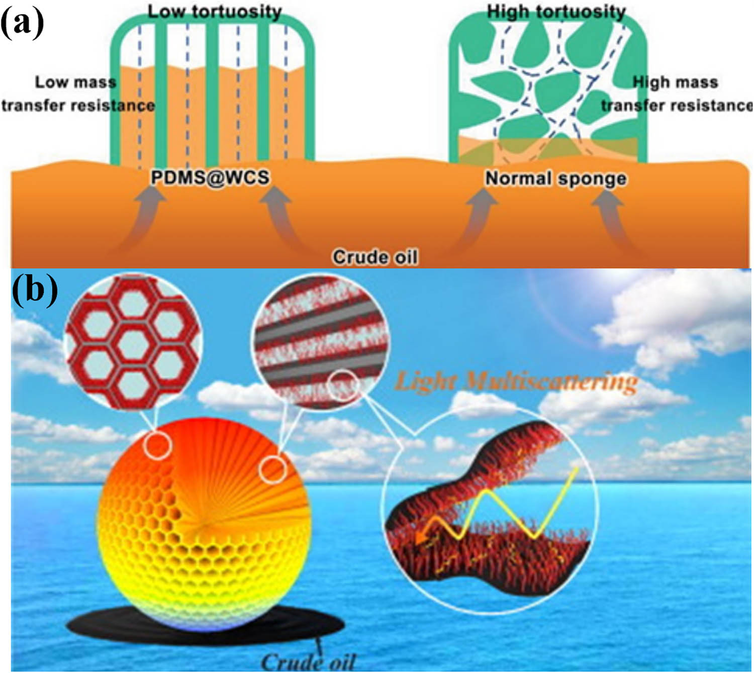 Figure 4 
                  (a) Schematic comparison between PDMS@WCS with aligned channels and commercial MS with random pores [64]. (b) Schematic diagram of CNTs/RGO microspherical aerogels photothermal conversion crude oil adsorption CNTs/RGO microspherical aerogels [65].
               