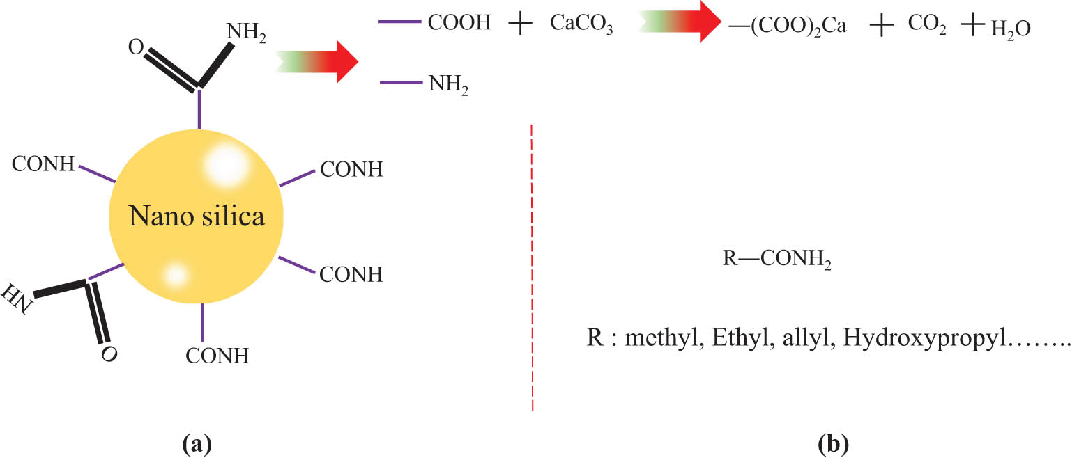 Figure 5 
                  Comparison of molecular structures and functional differences of two acid gelling agents. (a) Structure of nano silica gelling agent and reaction mechanism; (b) structure of commercially available gelling agents.
               