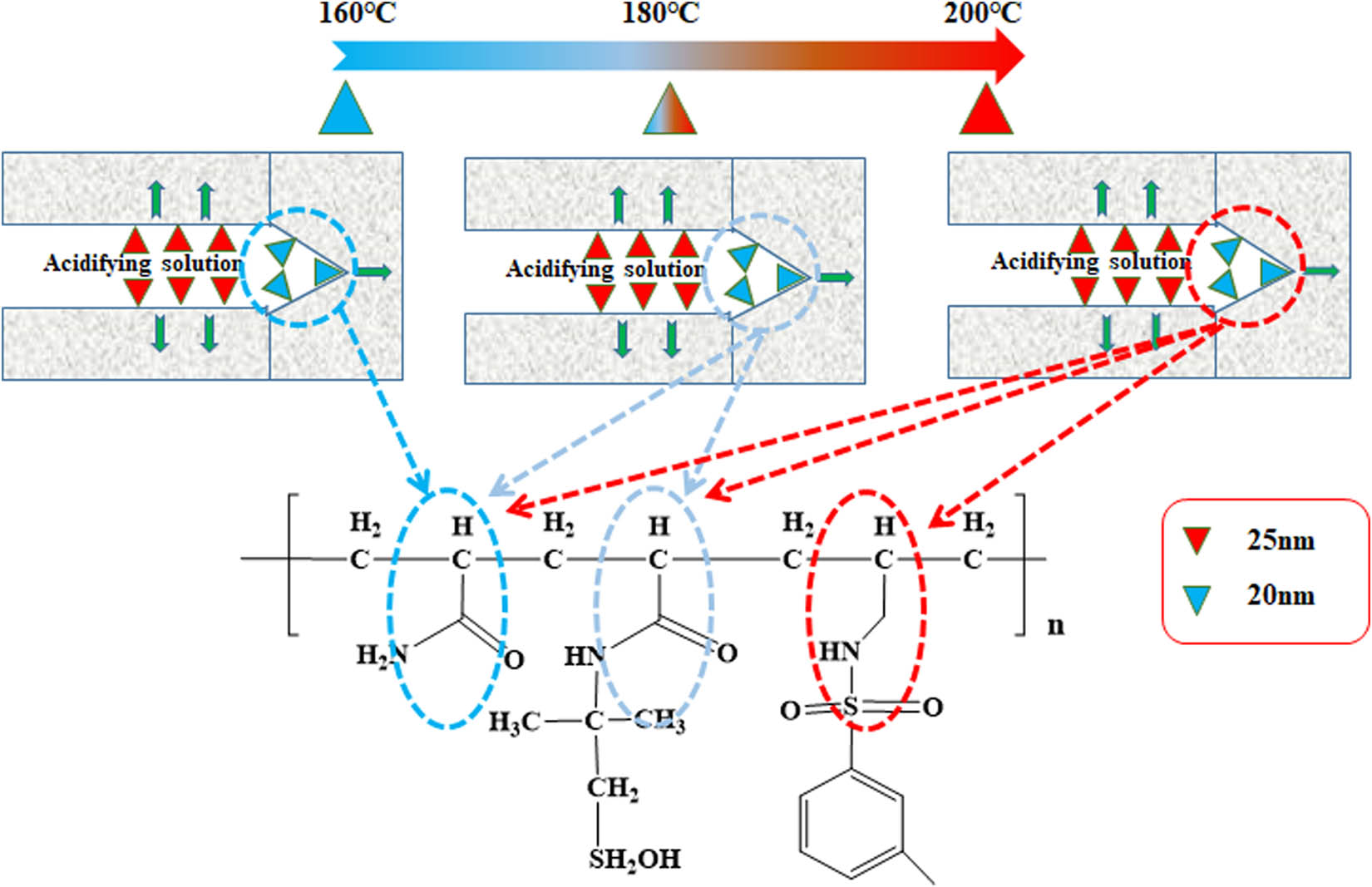 Figure 9 
                  Action mechanism of nano-silica gelling agent at different reservoir temperatures (with dimensions).
               