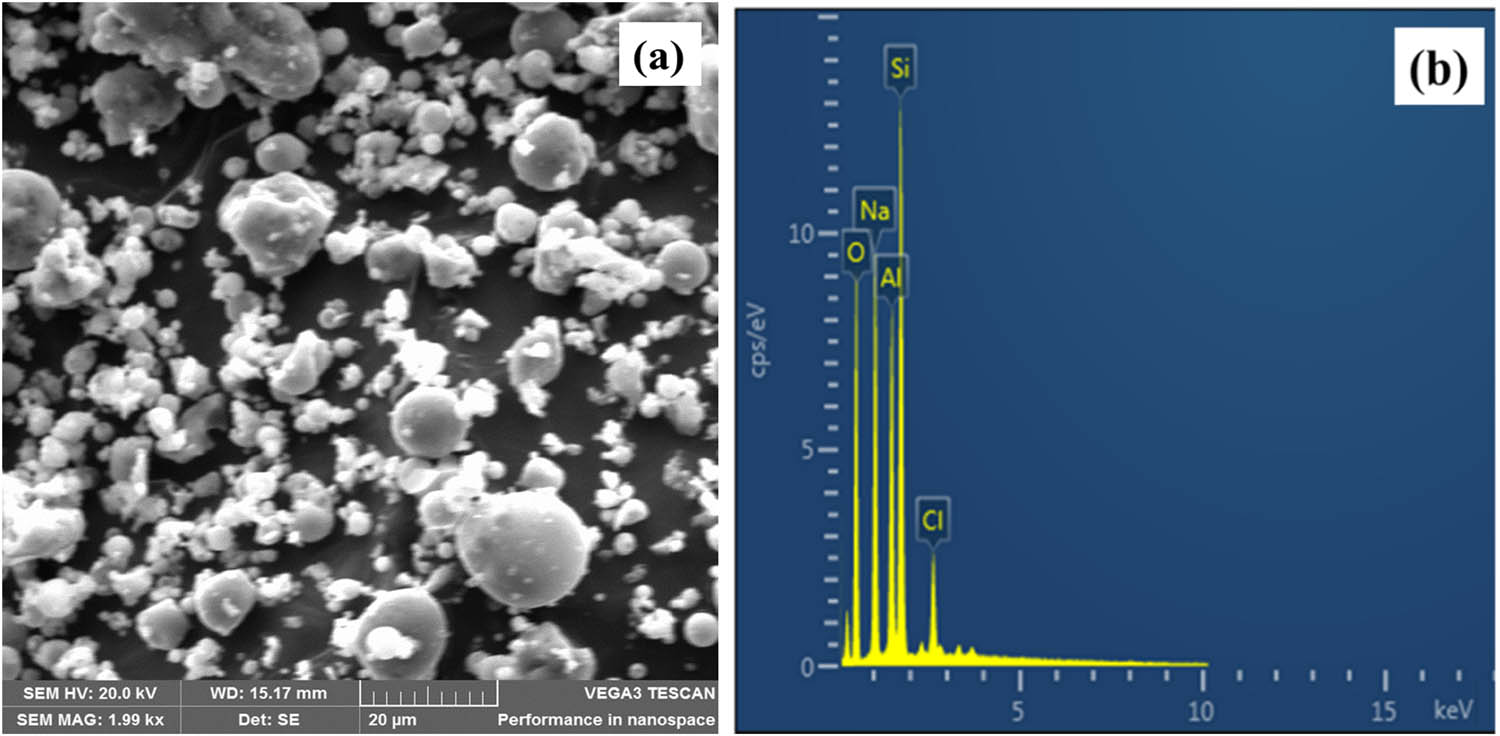 Figure 4 
                  Morphology of SAFA: (a) SEM and (b) EDX.
               