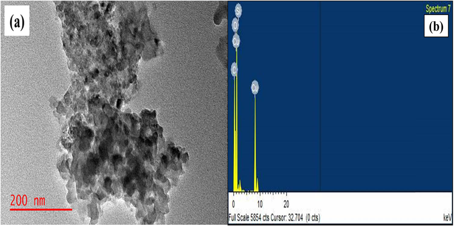 Figure 6 
                  TEM image (a) EDX (b) of SNPMW.
               