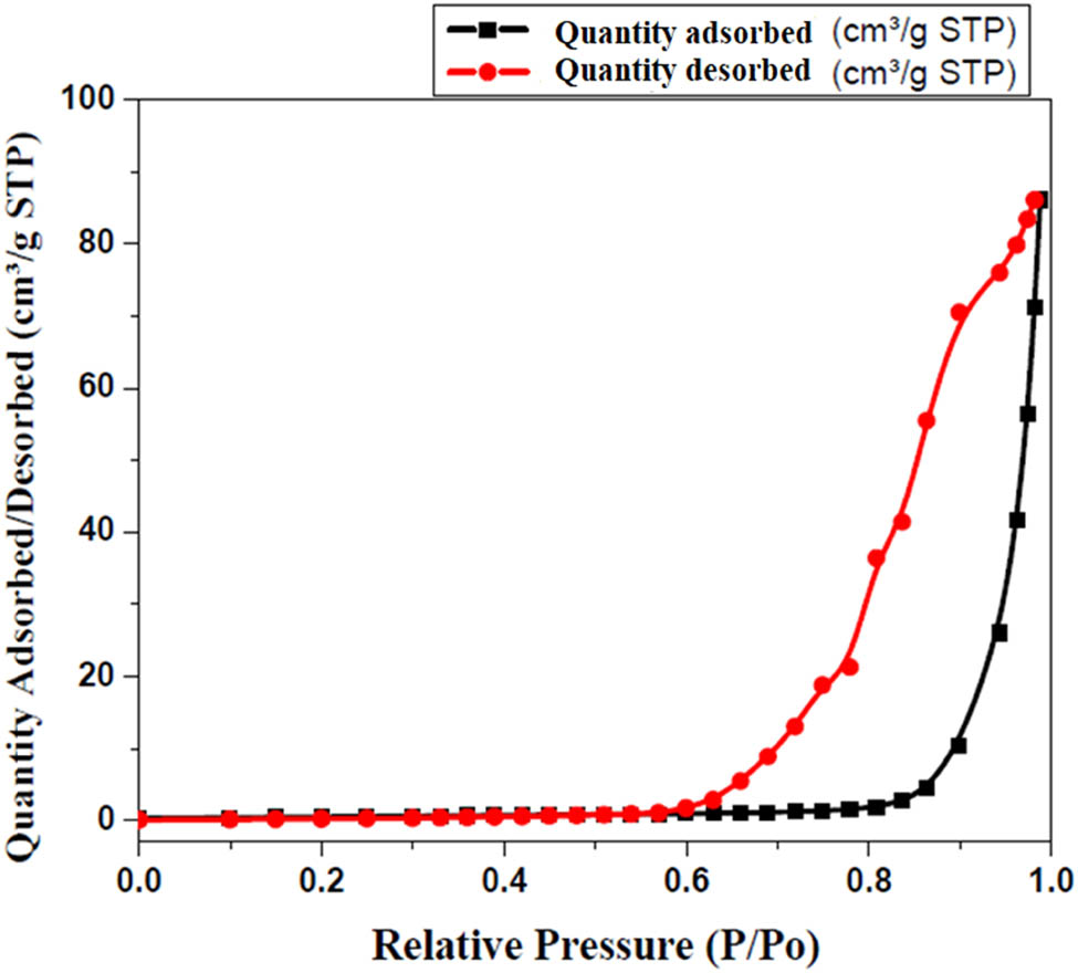 Figure 7 
                  Adsorption/desorption isotherms of prepared SNPMW.
               
