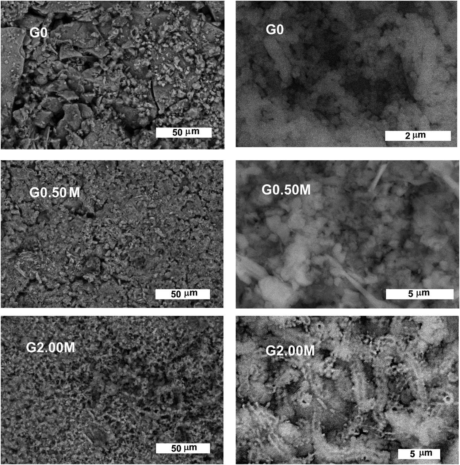 Figure 8 
                     SEM micrographs of the G0, G0.50M and G2.00M glasses sintered at 1,100°C/2 h and soaked in SBF for a month.
                  