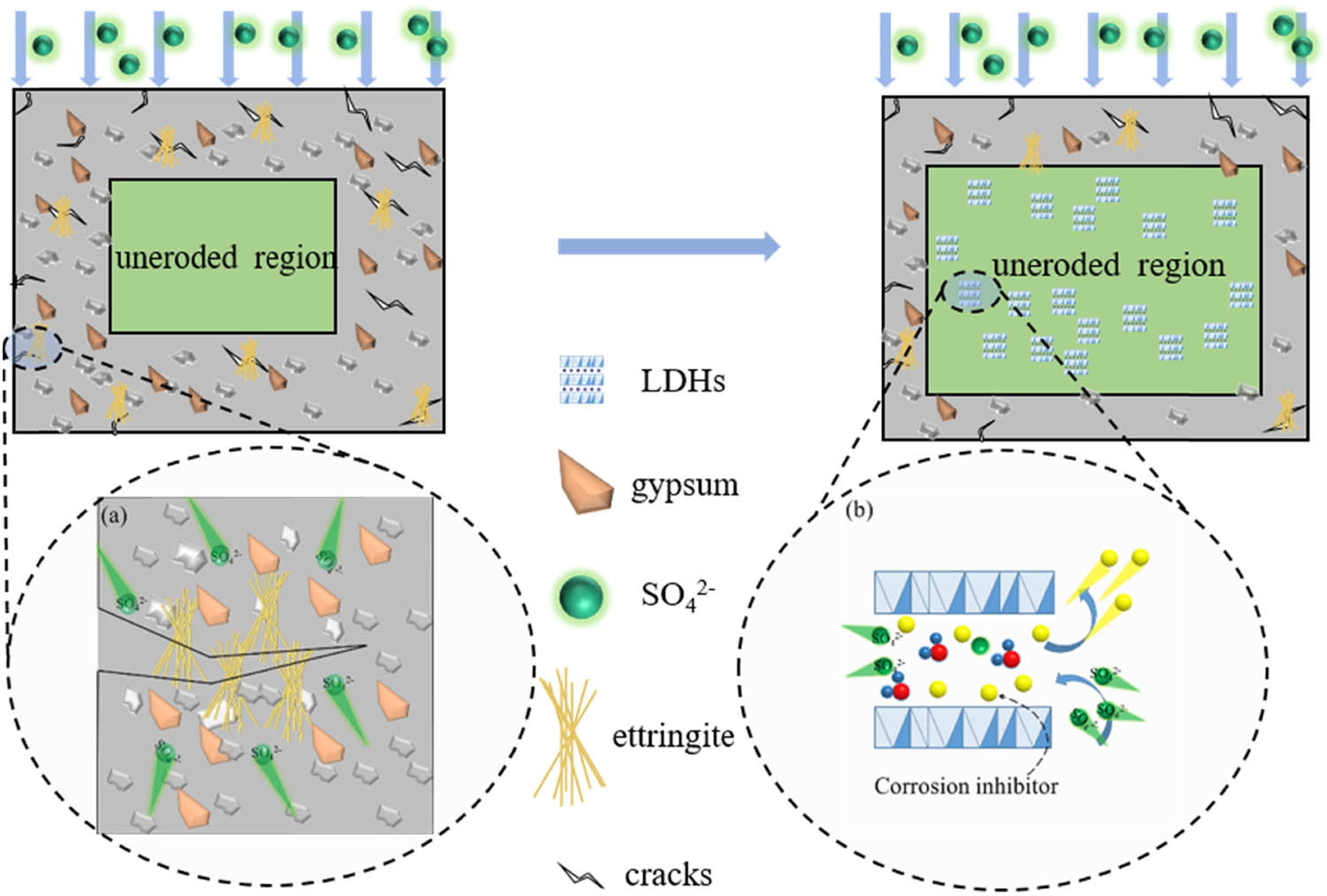 Figure 3 
                  The schematic illustration of sulfate attack induced crack and the modification of LDHs in concrete: (a) the schematic illustration of crack induced by sulfate attack; (b) modification mechanism of LDH on sulfate.
               