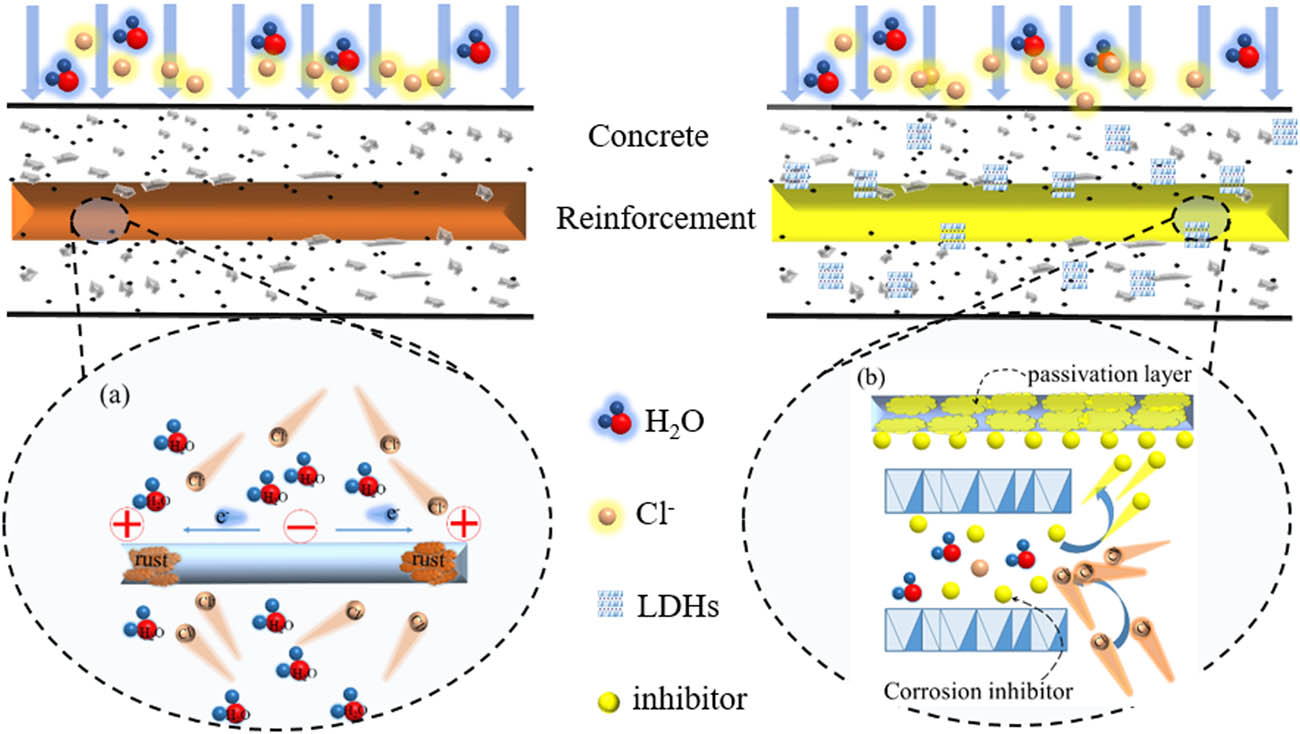 Figure 10 
               Chloride ions corrosion of reinforcement and corrosion inhibition mechanism of modified LDHs: (a) reinforcement corrosion induced by chloride ions; (b) dual-role mechanism of modified LDHs in reinforced concrete exposed to chloride ions.
            