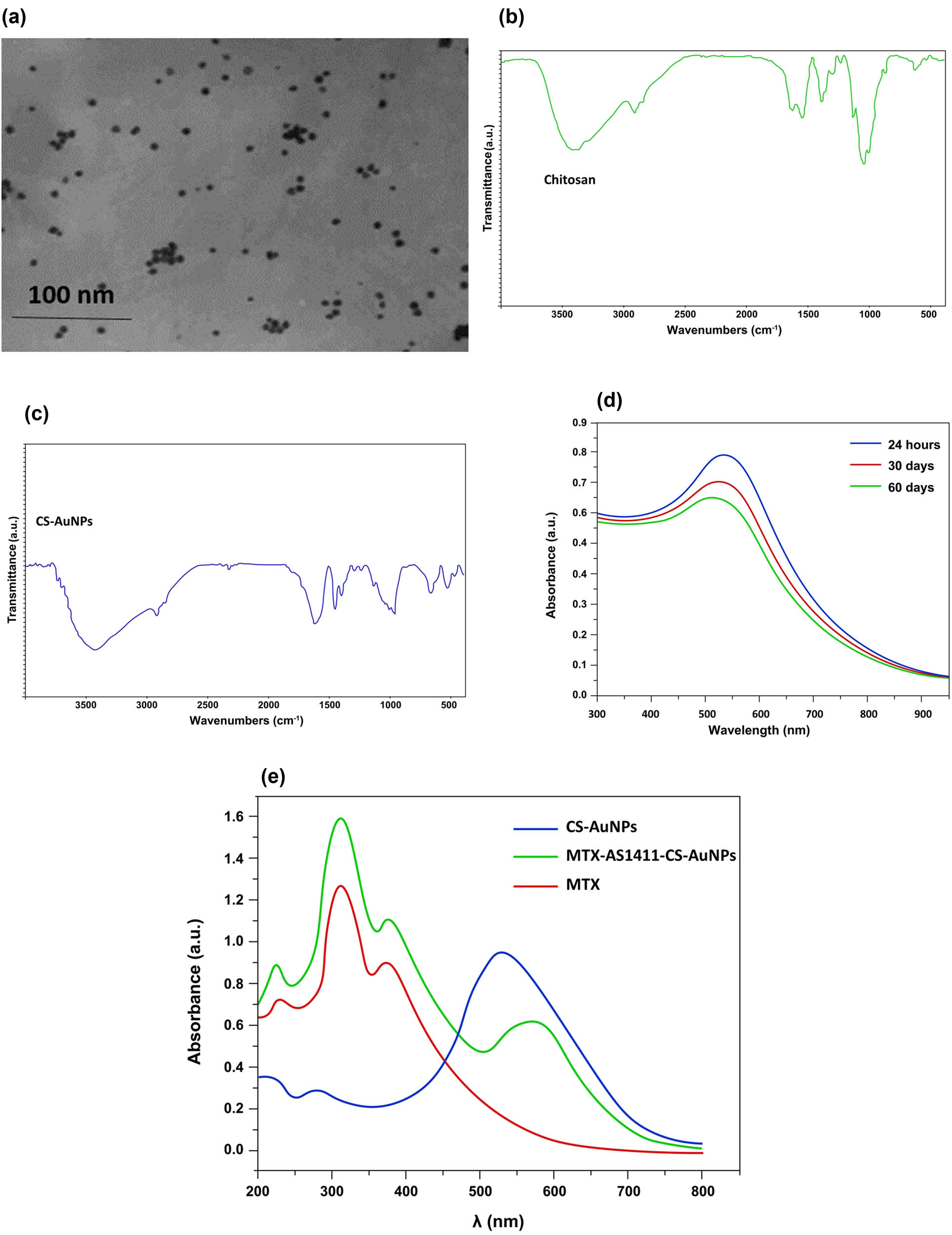 Figure 1 
                  (a) TEM images of CS-AuNPs. (b) FTIR spectra of CS. (c) FTIR spectra of CS-AuNPs. (d) UV-visible absorption spectra of CS-AuNPs at different times. (e) UV-visible absorption spectra of in vitro MTX loading onto AS1411-CS-AuNPs.
               