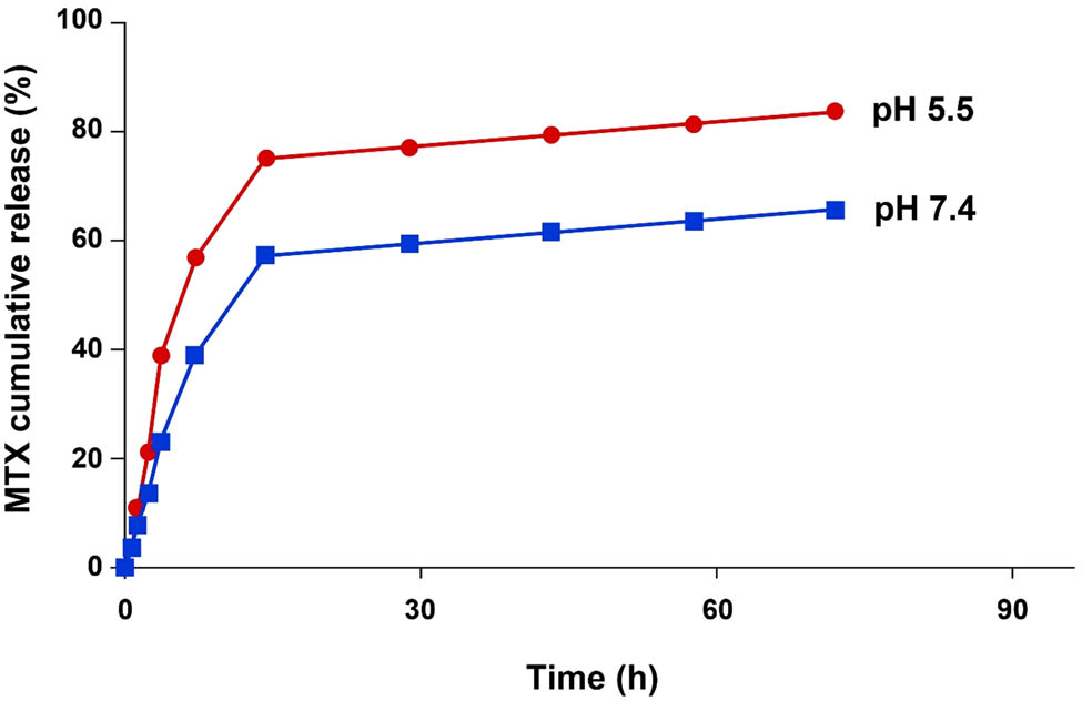 Figure 2 
                  The MTX release profile from the MTX-AS1411-CS-AuNPs conjugate at pH 5.5 (top line) and pH 7.4 (bottom line).
               