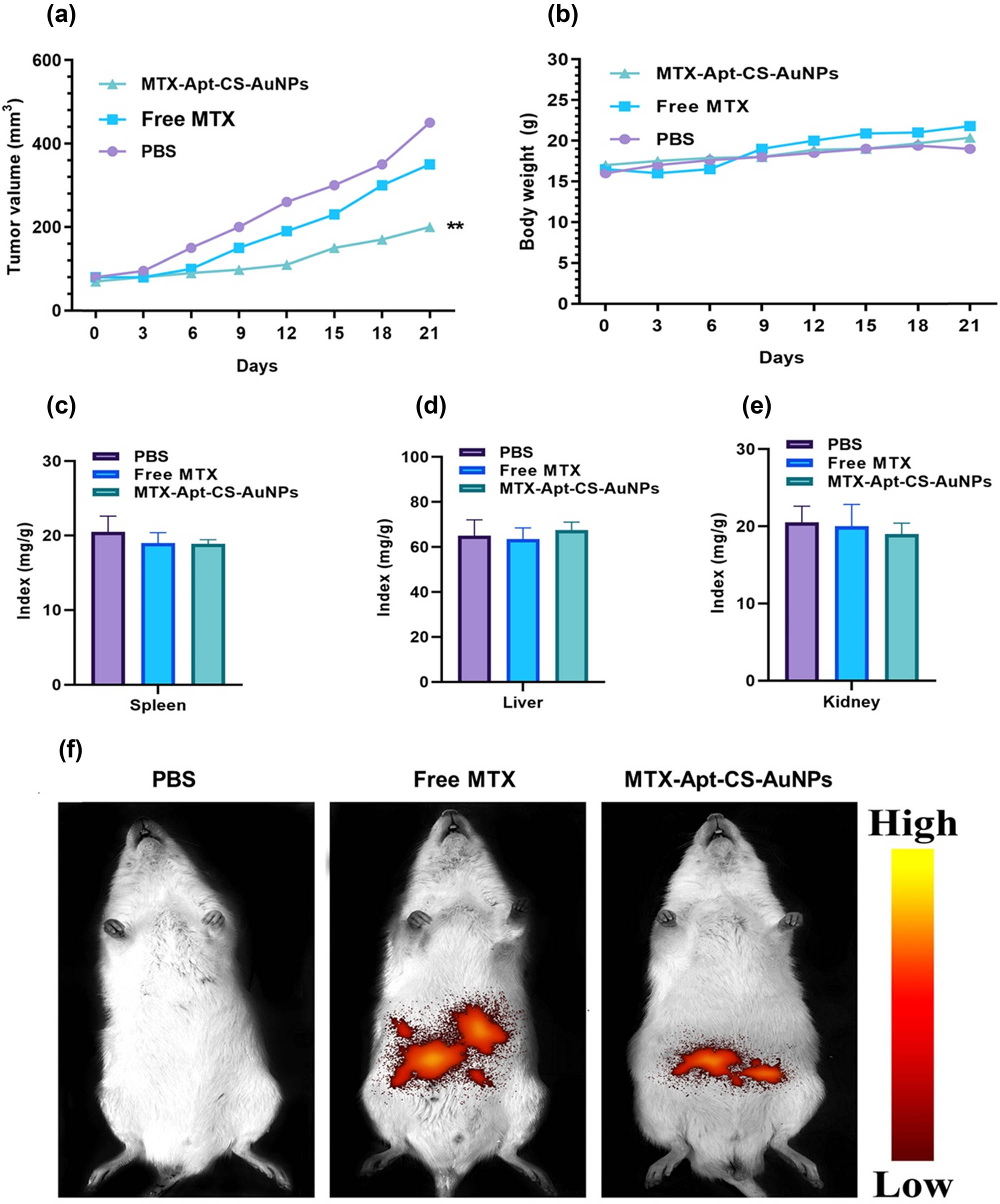 Figure 8 
                     (a) Tumor size, (b) the bodyweight, and (c–e) the organ indexes (liver, spleen, and kidney) of mice after treatment with PBS, free MTX, and MTX-Apt-CS-AuNPs. (f) The fluorescence intensities of mice after 4 h post injection with PBS, free MTX, and MTX-Apt-CS-AuNPs to monitor the targeting effects. **p < 0.01 shows significant differences.
                  