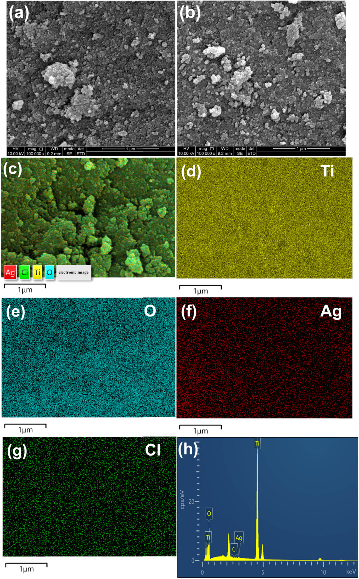 Figure 2 
                  SEM images of ARB (a), Ag@AgCl–ARB (b), element mappings (c–g), and EDS analysis of Ag@AgCl–ARB (h).
               
