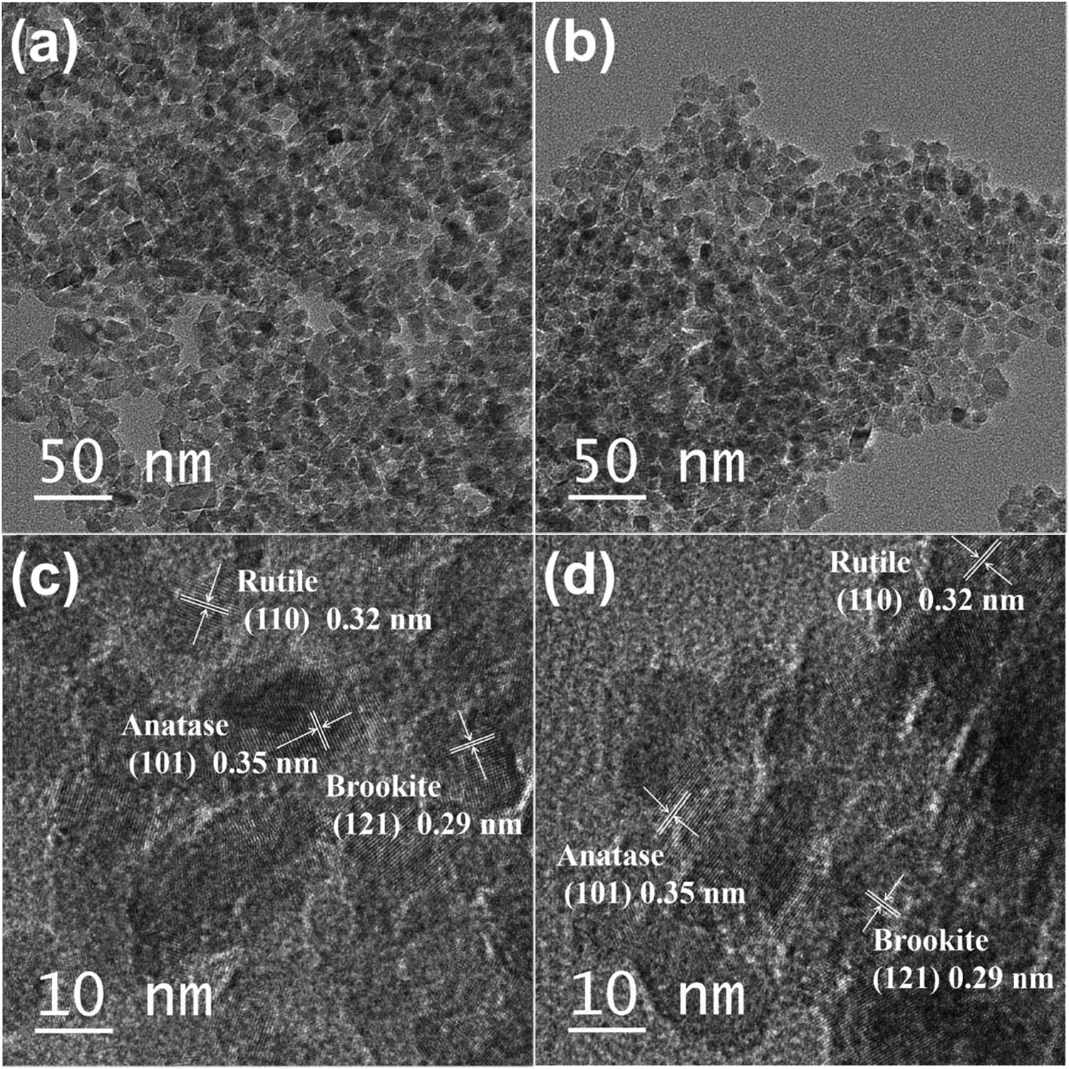 Figure 3 
                  TEM images of ARB (a), Ag@AgCl–ARB (b), HRTEM images of ARB (c), and Ag@AgCl–ARB (d).
               