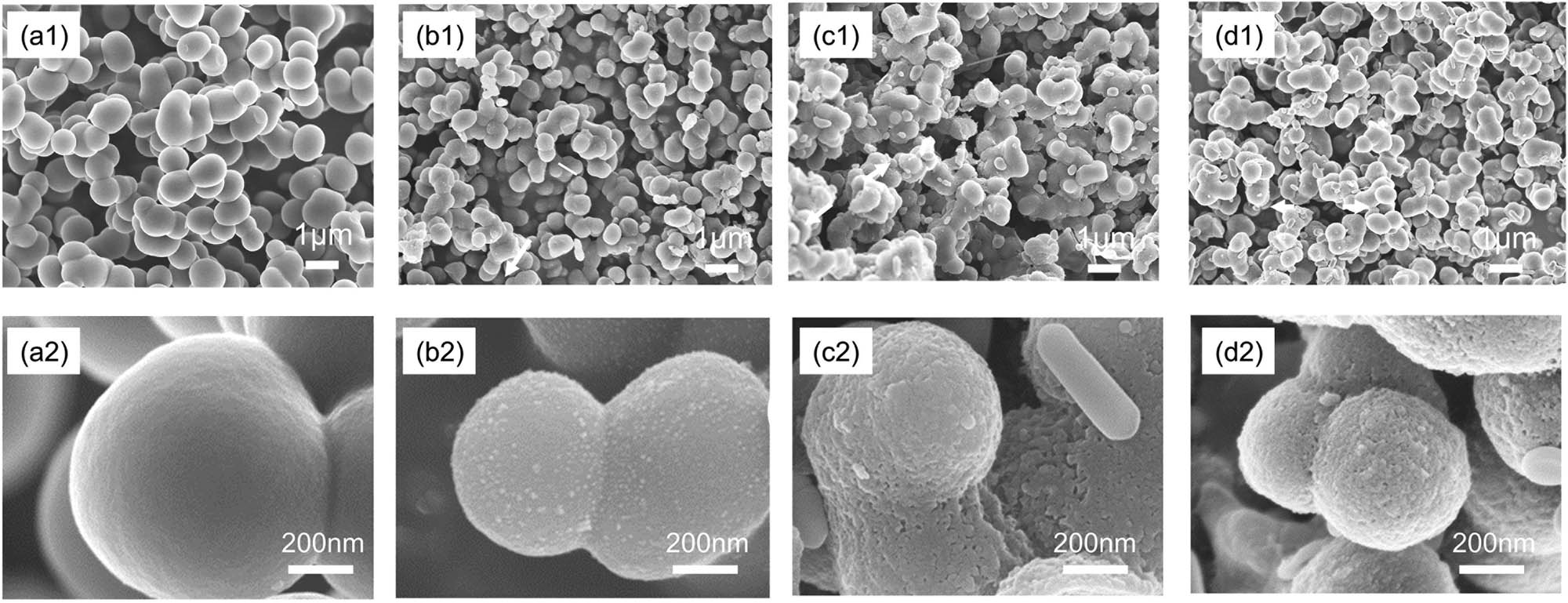 Figure 2 
                  (a)–(d) SEM images of TB/C aerogel composites with different TiB2 and B4C contents: (a1), (a2) 0; (b1), (b2) 10%; (c1), (c2) 50%; and (d1), (d2) 90%.
               