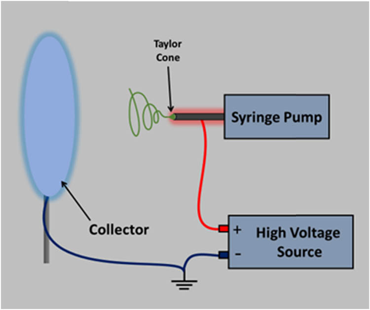 Figure 1 
               Schematic illustration of electrospinning setup.
            