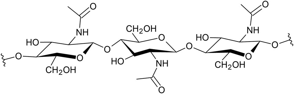 Figure 2 
               Structure of chitin.
            