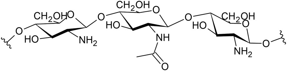 Figure 3 
               Structure of chitosan.
            