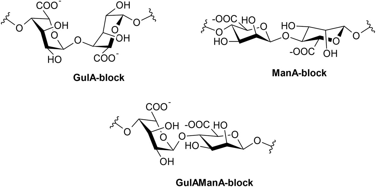 Figure 4 
               Chemical structure of sodium alginate. GulA, α-l-guluronic acid; ManA, β-d-mannuronic acid.
            