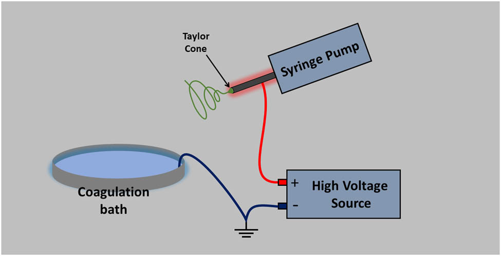 Figure 6 
               Schematic representation of electrospinning from IL solutions.
            