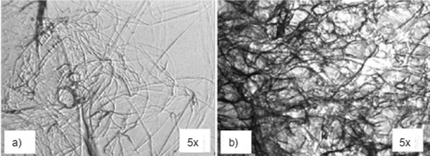 Figure 7 
               Microscopic images of chitin fibers (powder of chitin extracted from shrimp shells (Pandalus borealis)) in 1-butyl-3-methylimidazolium acetate BMIM OAc, produced by the solution blow spinning method (a and b) mag: 5×, fiber diameter: 0.3–30 µm; (b) mag: 5×, fiber diameter: 0.3–30 µm. Image reprinted with permission from [92] Łukasiewicz Research Network-Institute of Biopolymers and Chemical Fibres, in accordance with the BOAI.
            
