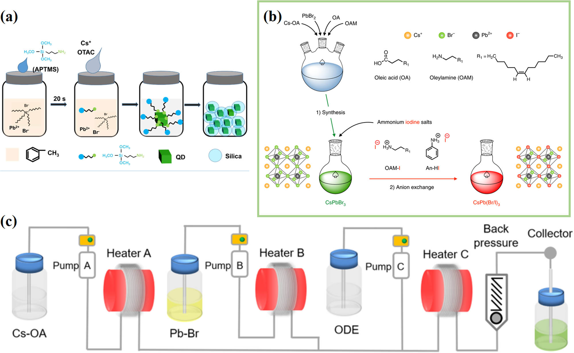 Figure 5 
                     (a) Preparation diagram of CsPbBr3 PQDs solid powder, reproduced with permission from ref. [76]. Copyright 2021, Elsevier. (b) Schematic diagram of anion exchange based on long alkyl ammonium and aryl ammonium, reproduced with permission from ref. [79]. Copyright 2018, Springer Nature. (c) Schematic diagram of the microfluidic system for producing CsPbBr3/Cs4PbBr6 PNCs, reproduced with permission from ref. [81]. Copyright 2021, Elsevier.
                  