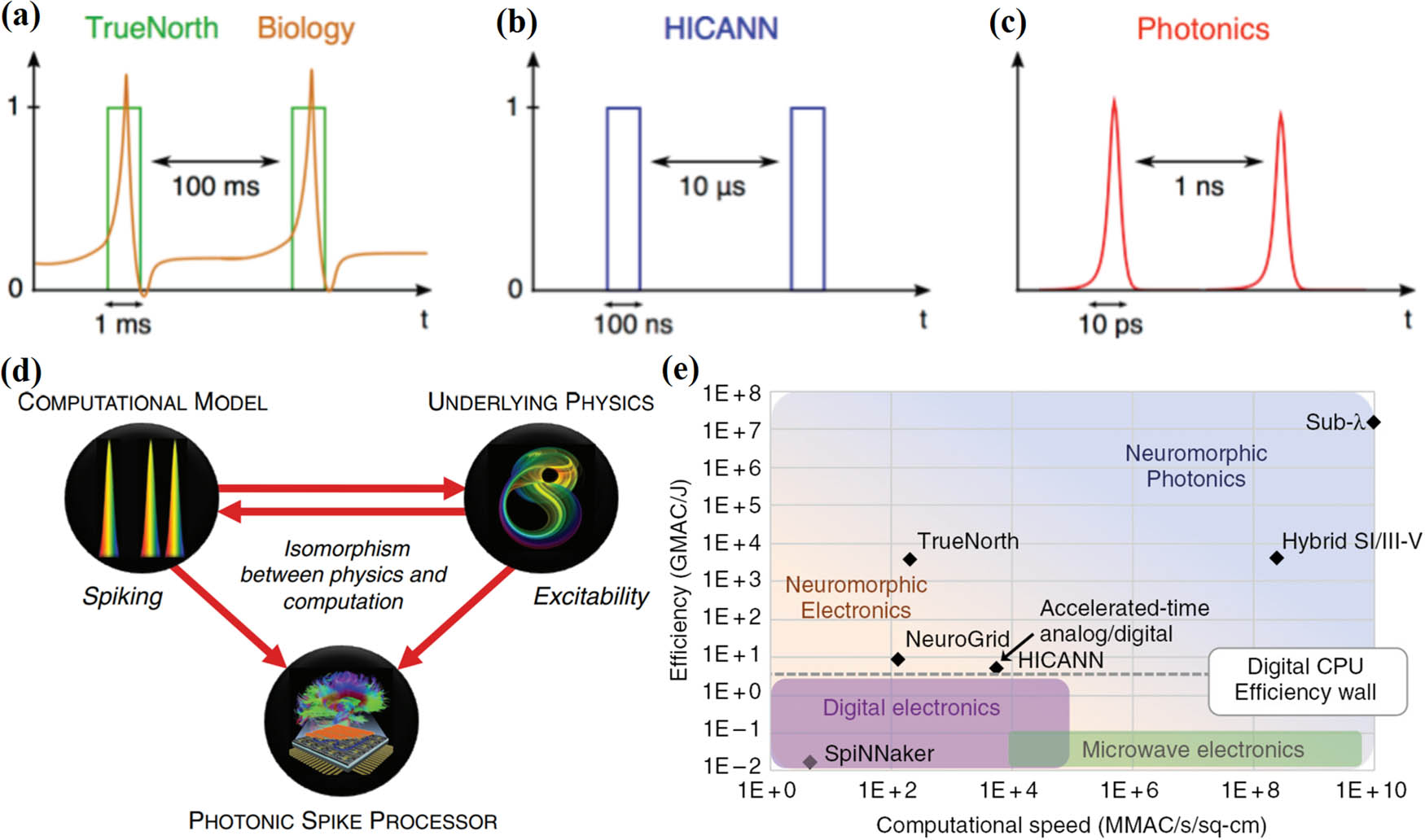 Figure 14 
                  The physical time scales of (a) biological neurons, (b) electronic spiking neurons, and (c) photonic neurons. (d) Photonic spiking processor for optical computing analogies. Reproduced with permission from ref. [134]. Copyright 2017, Taylor & Francis Group. (e) Computational speed and efficiency metrics of various neuromorphic hardware platforms, reproduced with permission [135]. Copyright 2017, Thomas Ferreira de Lima et al., published by De Gruyter.
               