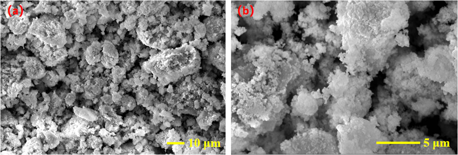 Figure 4 
                  SEM images of the CdS–Ag2S nanocomposite: (a) ×1,000; (b) ×5,000.
               