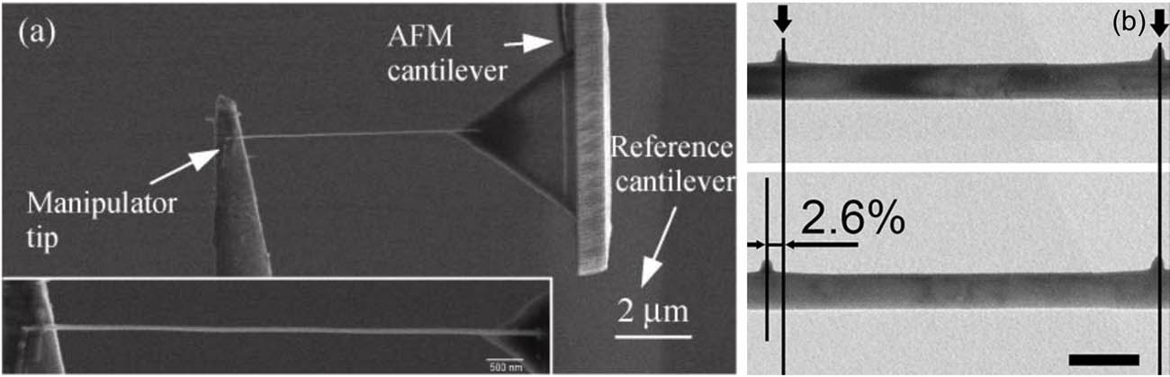 Figure 2 
                  Examples of tensile tests carried inside SEM (adapted form [41]) and TEM (adopted form [40]) using piezo scanners.
               