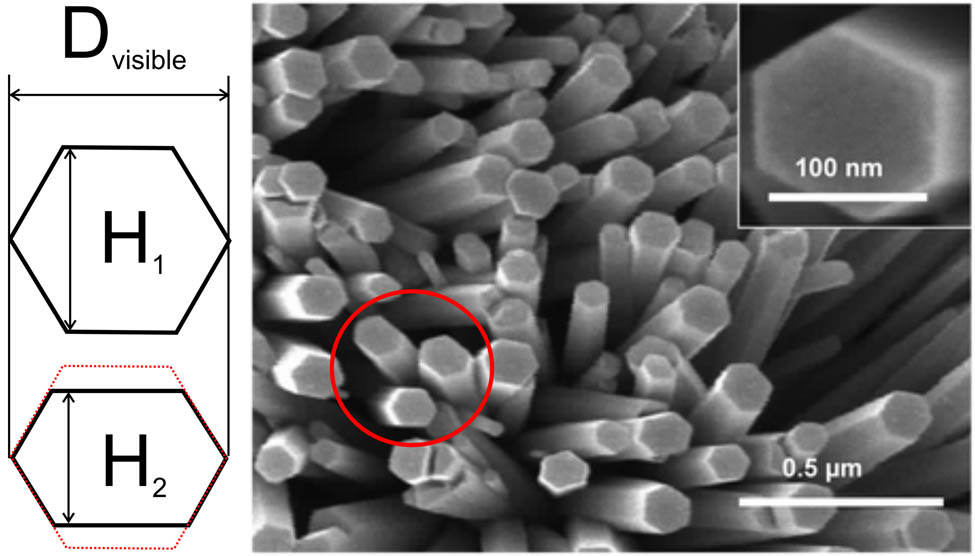 Figure 7 
                     Illustration of cross-section deviation from hexagon shape (adopted from Broitman et al. [89]).
                  