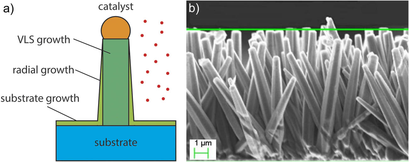 Figure 8 
                     (a) Possible deposition pathways in a VLS system [90]. Depending on the growth parameters, VLS growth via catalyst alloy, radial overcoating on the existing NW sidewalls and thin film deposition on the substrate may occur. (b) SEM image showing the morphology of as-grown ZnO nanorods arrays grown on the silicon substrate (side view) [54].
                  