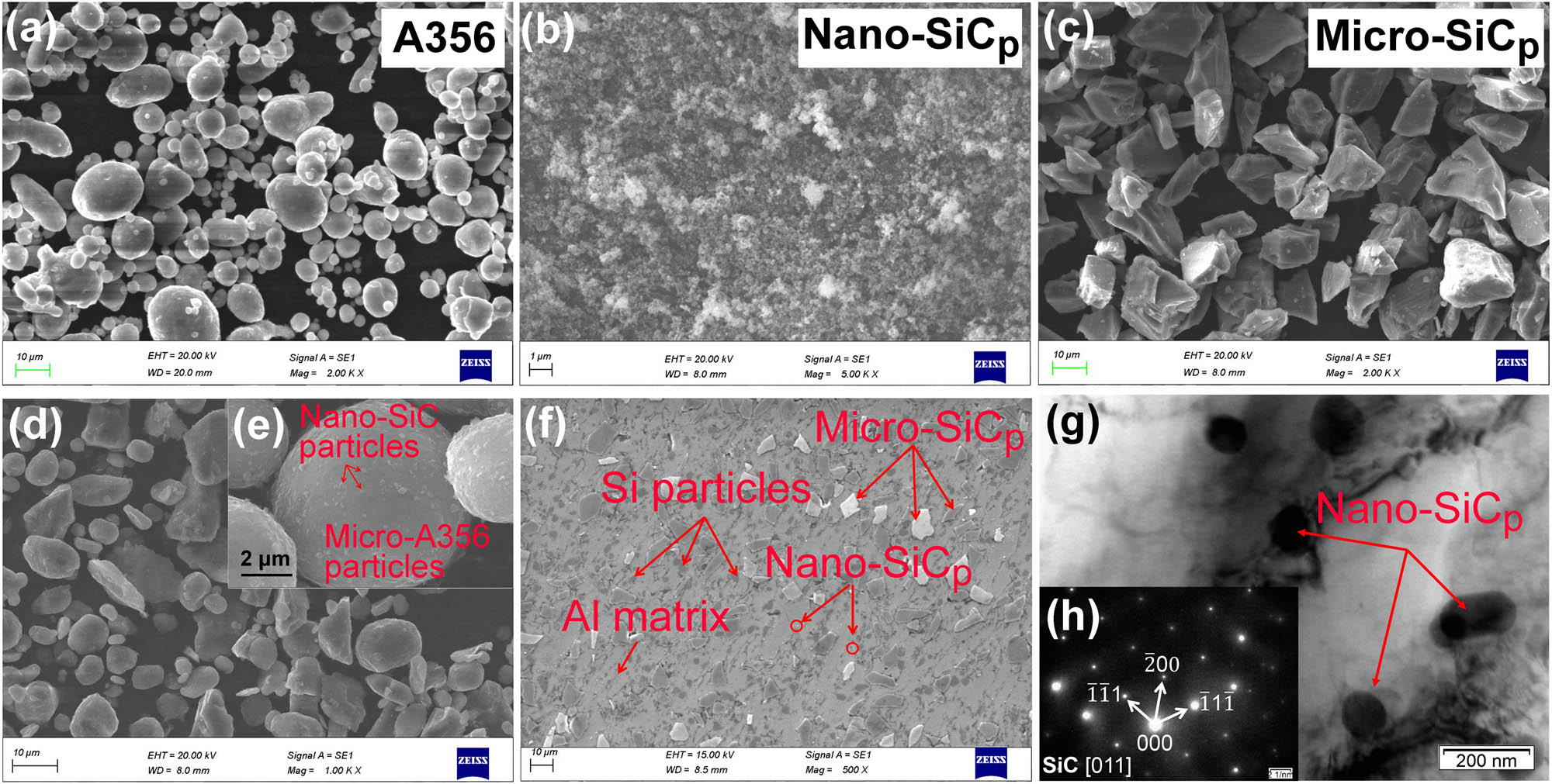 Figure 2 
               Morphologies of the preparation process of dual-scale SiCp/A356 composites used: (a) A356 powders; (b) nano-SiCp powders; (c) micro-SiCp powders; (d) mixed powders after ball milling; (e) high-magnification image of the mixed powders showing the uniform distribution of nano- SiCp on the A356 particles; (f) SEM images of the composites; (g) TEM images of the composites; and (h) corresponding diffraction pattern of the nano-SiCp.
            