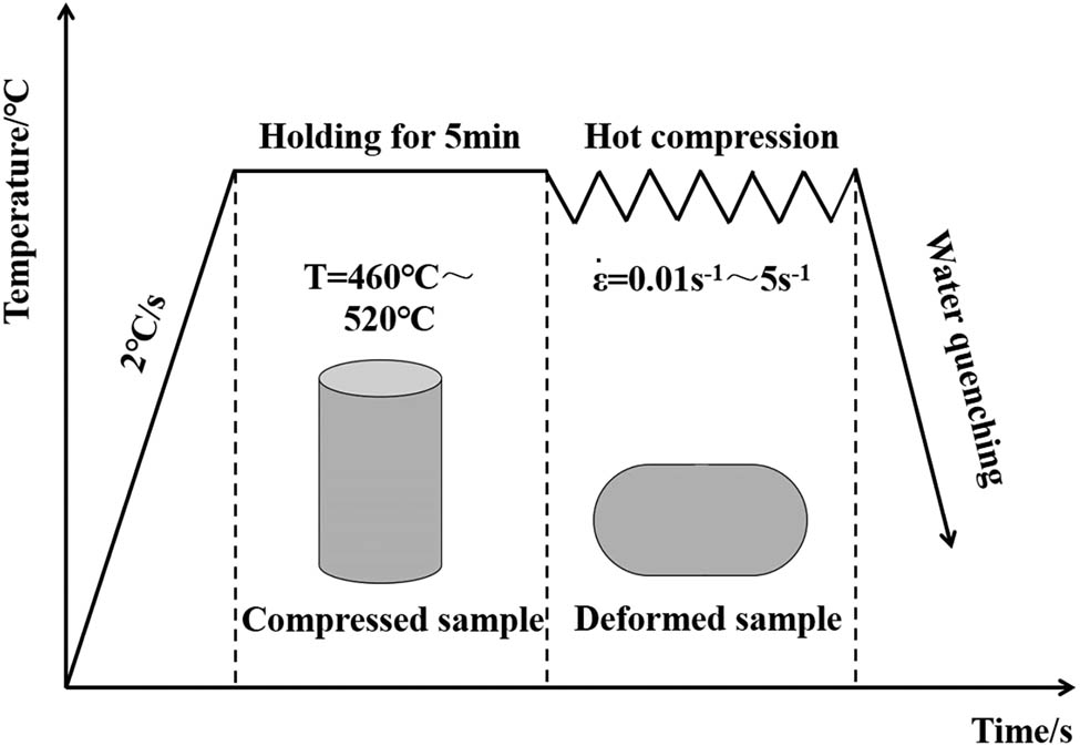 Figure 3 
               Schematic diagram of the hot compression process.
            