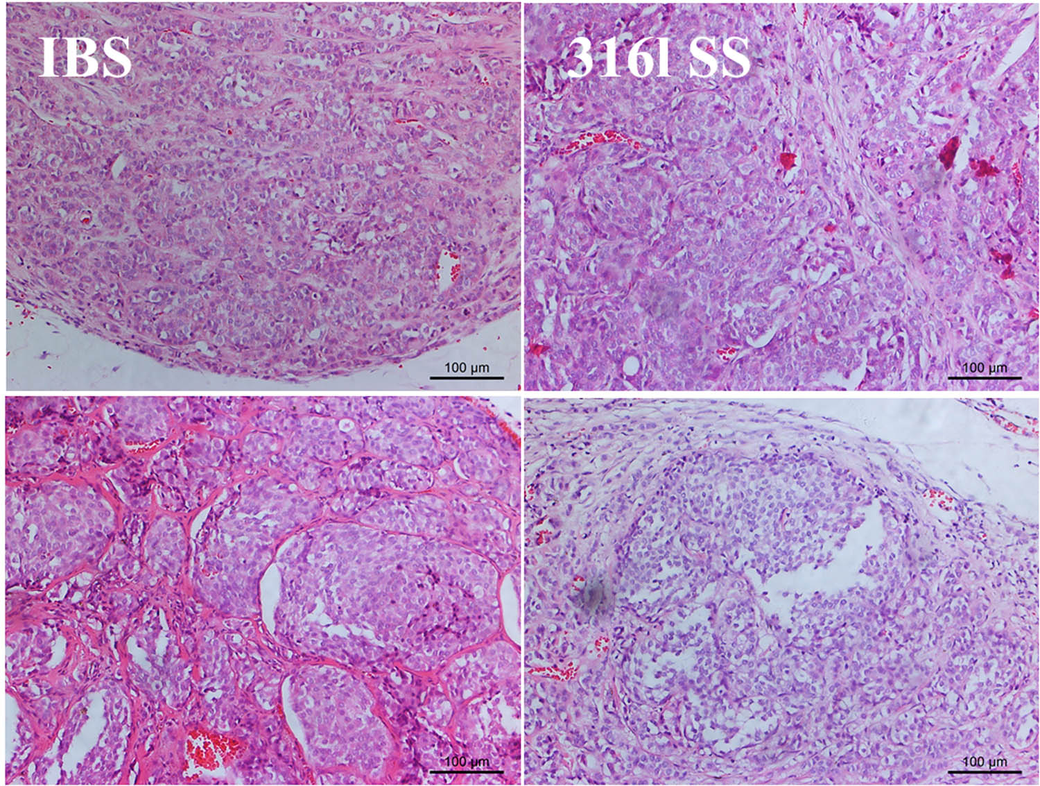 Teaser image from the article