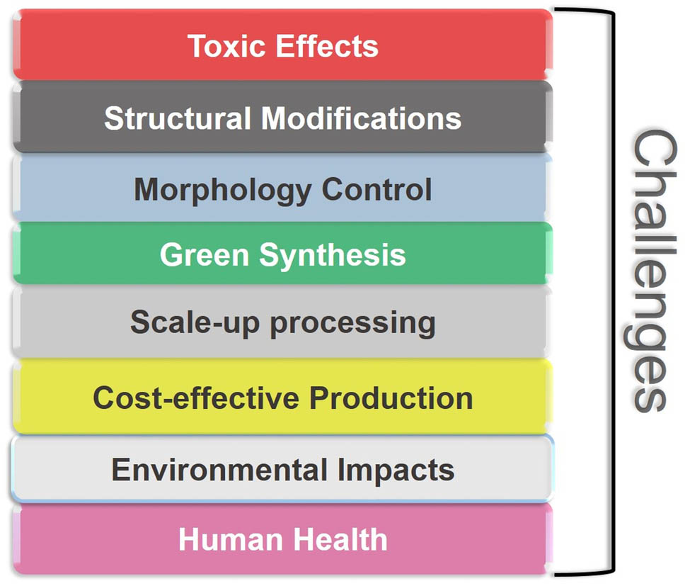 Figure 11 
                  Key challenges related to waste-generated graphene nanocomposites for future studies.
               