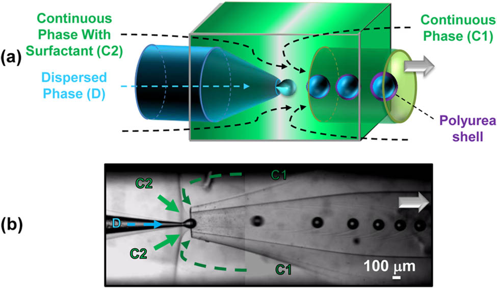 Teaser image from the article