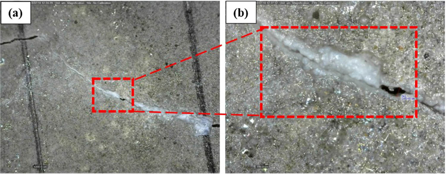 Figure 14 
                     Image taken from crack filled with precipitation of calcium carbonate at the magnifications of (a) 50× and (b) 230× [13].
                  