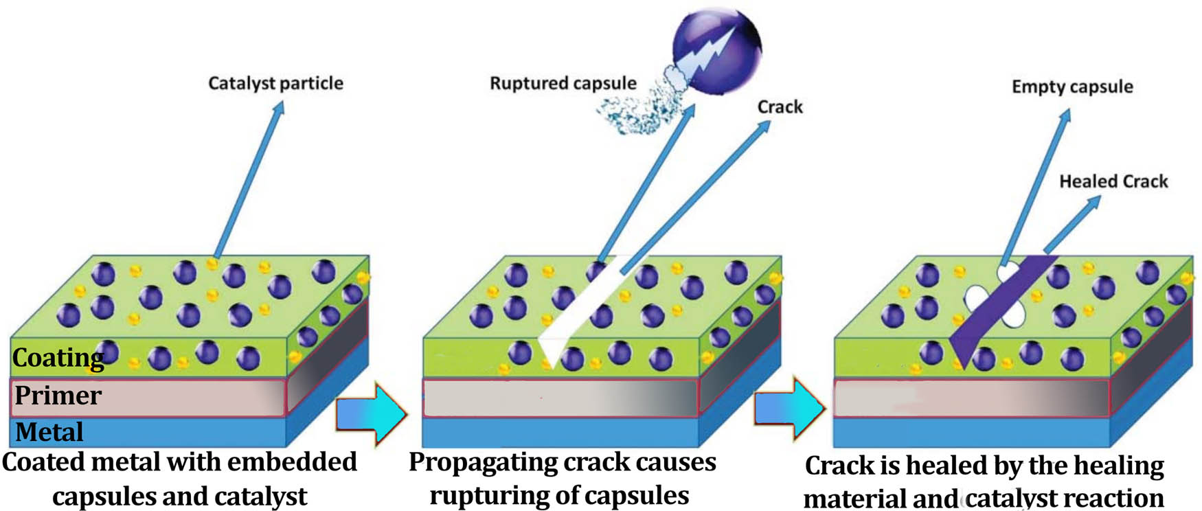 Figure 15 
                     Schematic representation of crack healing by micro-encapsulated self-healing agent with a catalyst embedded in a resin matrix [104].
                  
