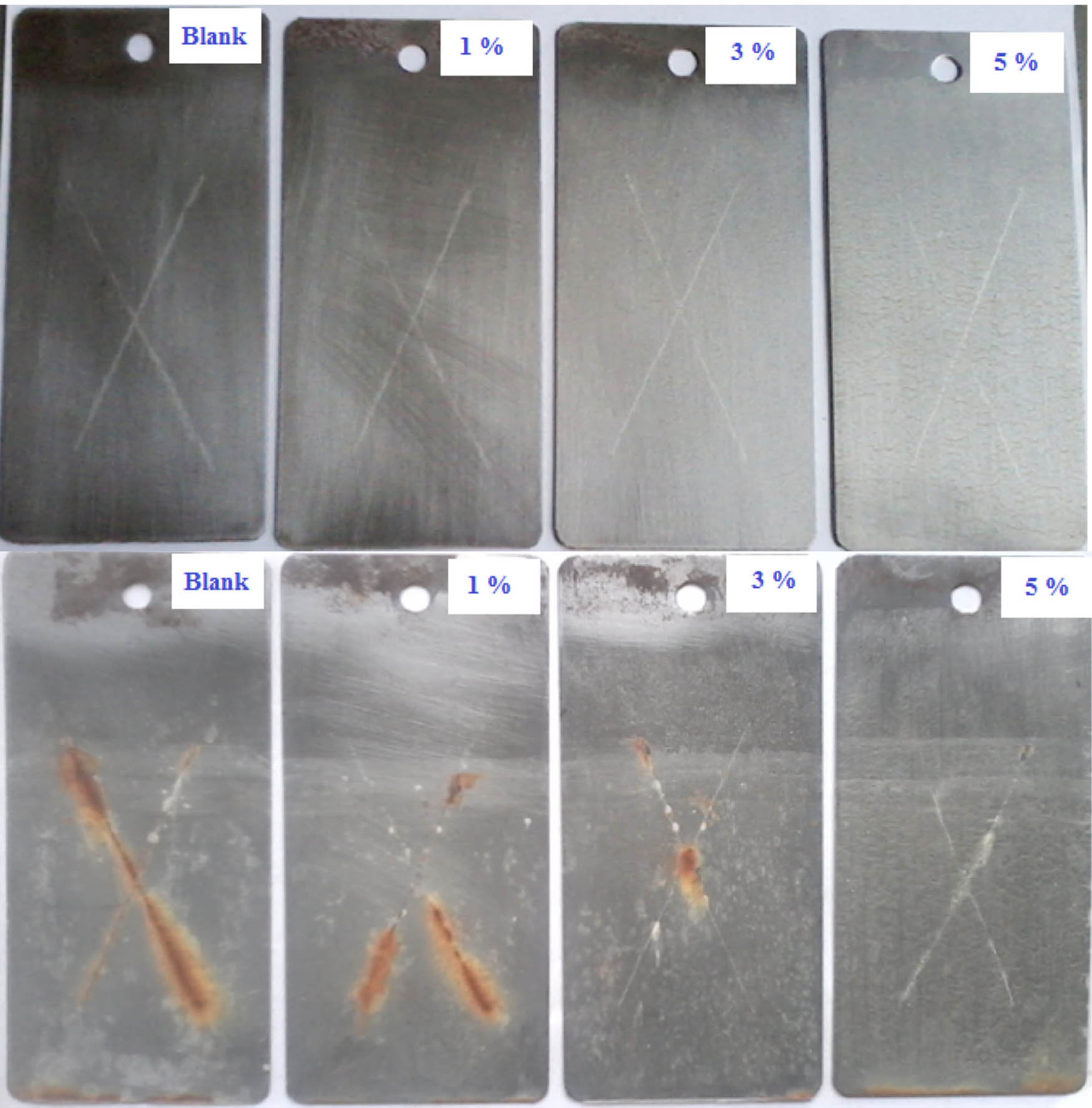 Figure 16 
                     Corrosion test results of steel panels coated with PU coatings with different percentages of polyurea microcapsules containing tung oil before and after testing for 120 h [36].
                  