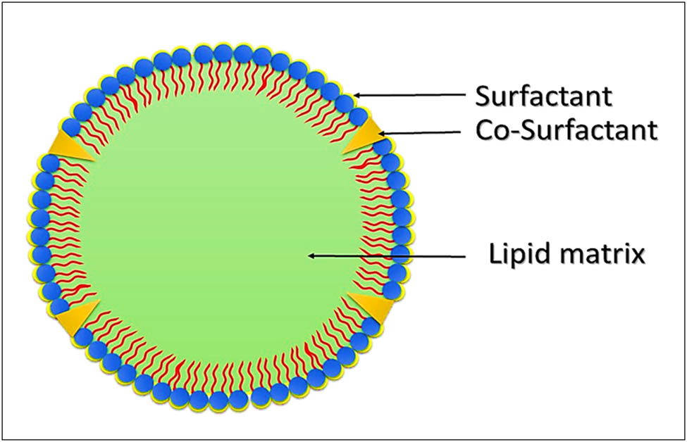 Figure 1 
                  Compositional lay-out of the structure of a typical SLN showing the lipid core and the peripheral surfactant/co-surfactant, the drug may or may not, based on QbD approach, concentrate on the peripheries, or at the core.
               