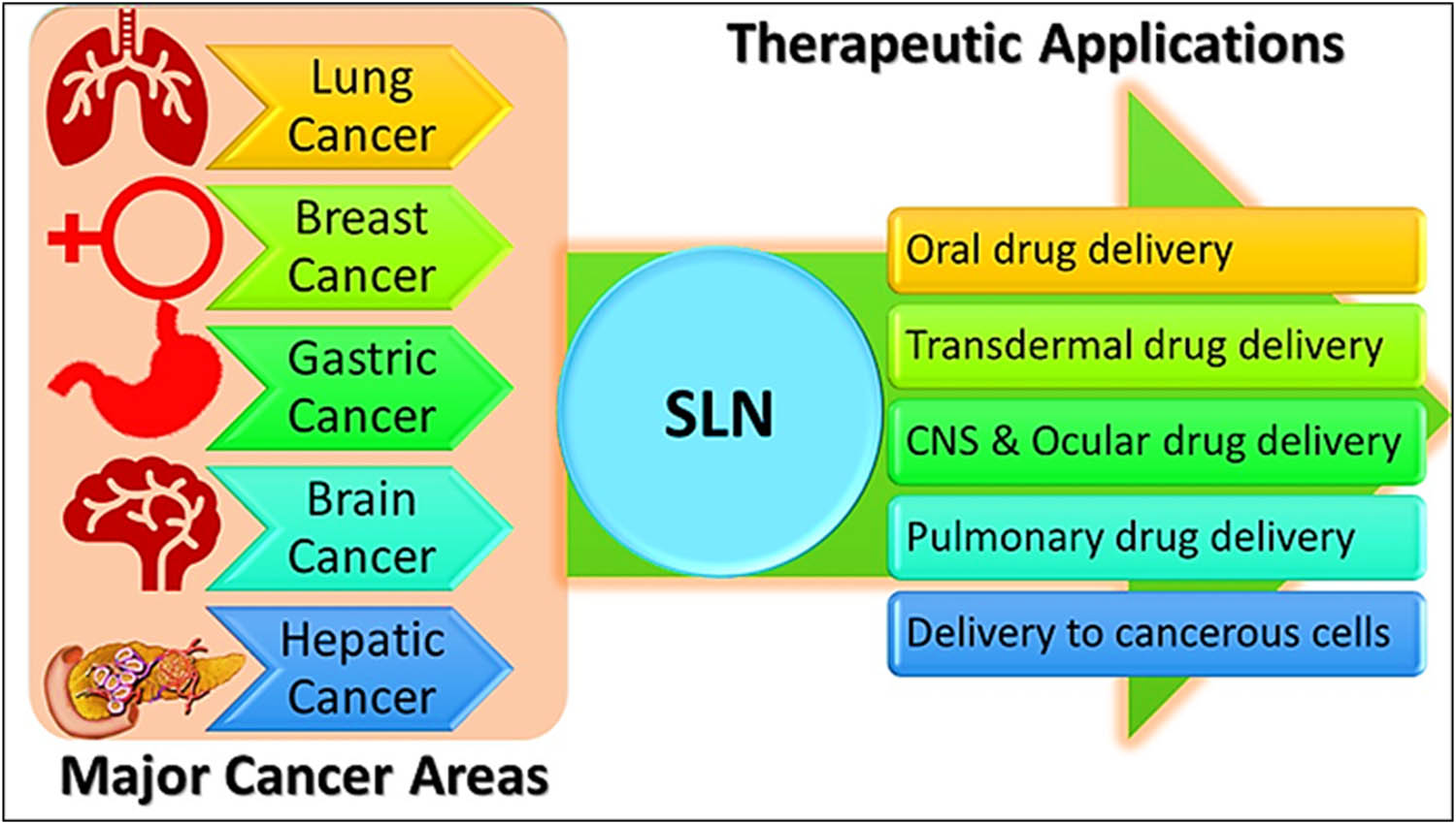 Figure 2 
                  Major therapeutic applications of SLNs in high-incidence cancers, and their delivery through different alternatives.
               