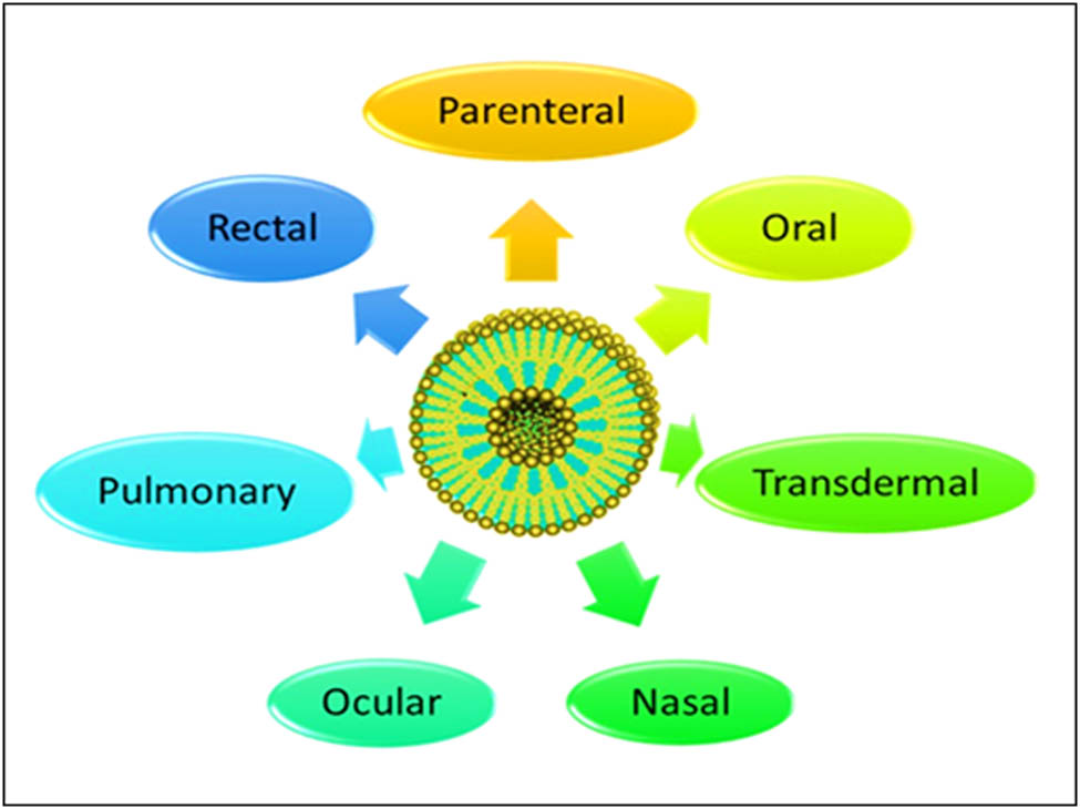 Figure 11 
                  Various routes of SLNs administrations.
               