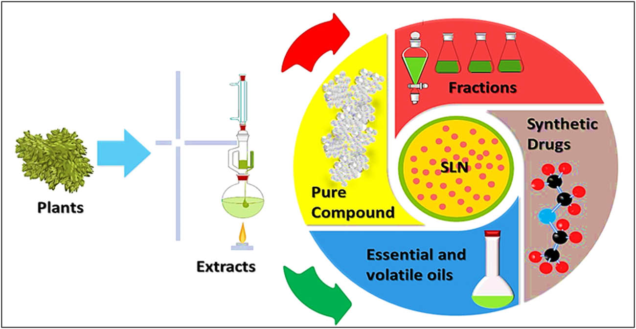 Figure 12 
               SLNs as the delivery carrier for natural products, extracts, fractions, pure compounds, and essential oils.
            