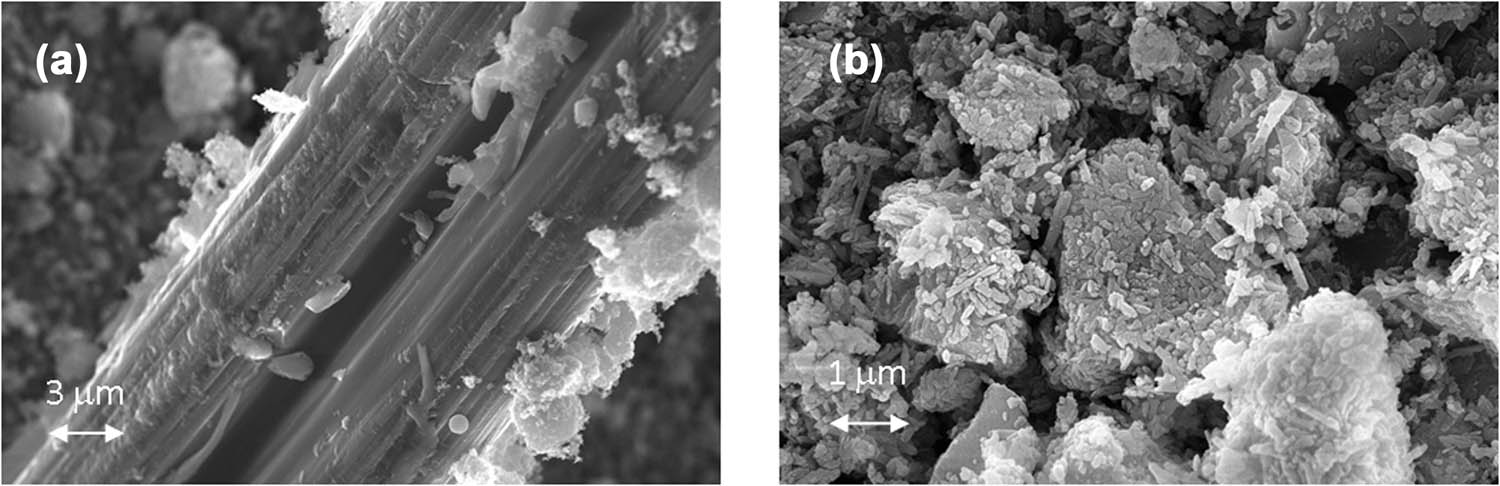 Figure 2
SEM images of the studied fillers: (a) GnPs, (b) HNT.