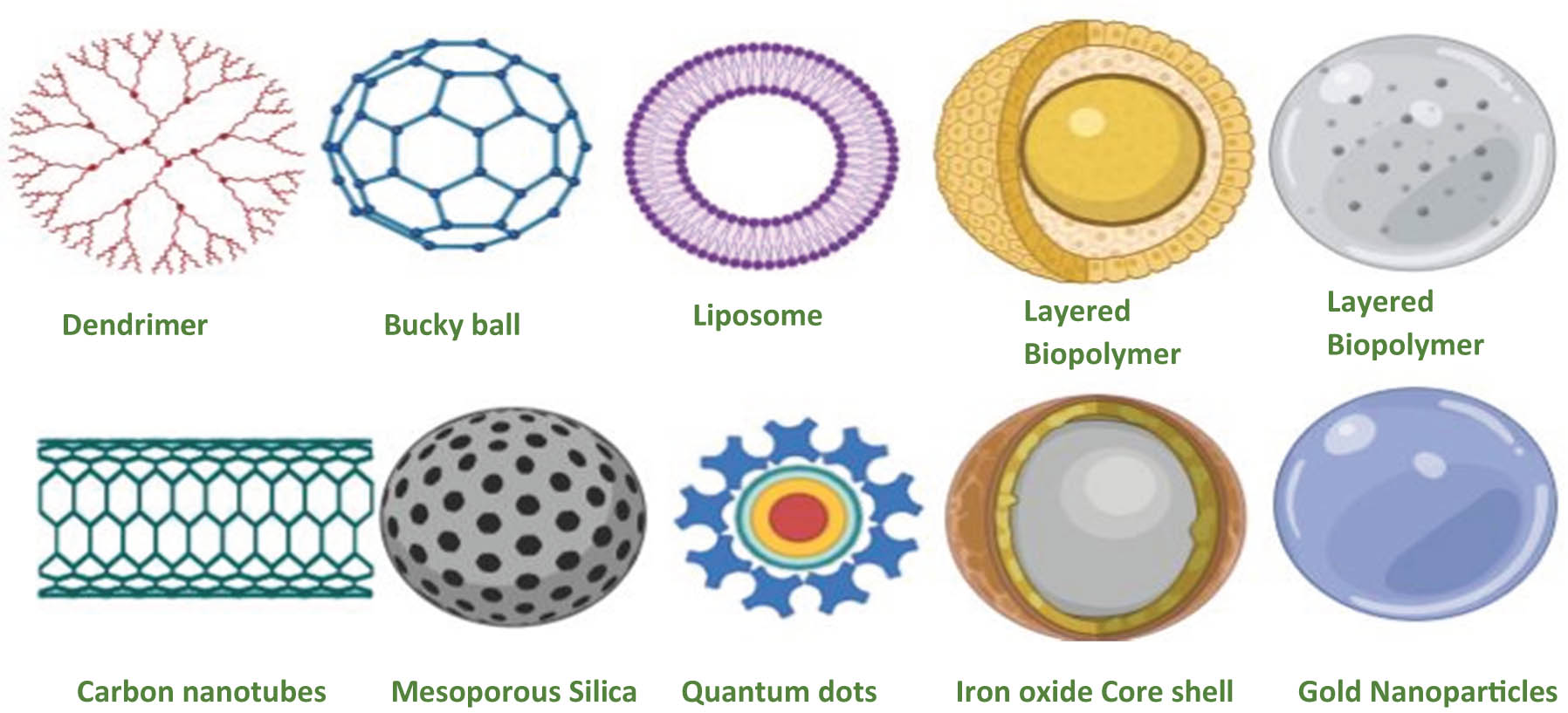 Figure 1 
               Schematic representation of a variety of NPs [12] (Created with BioRender).
            