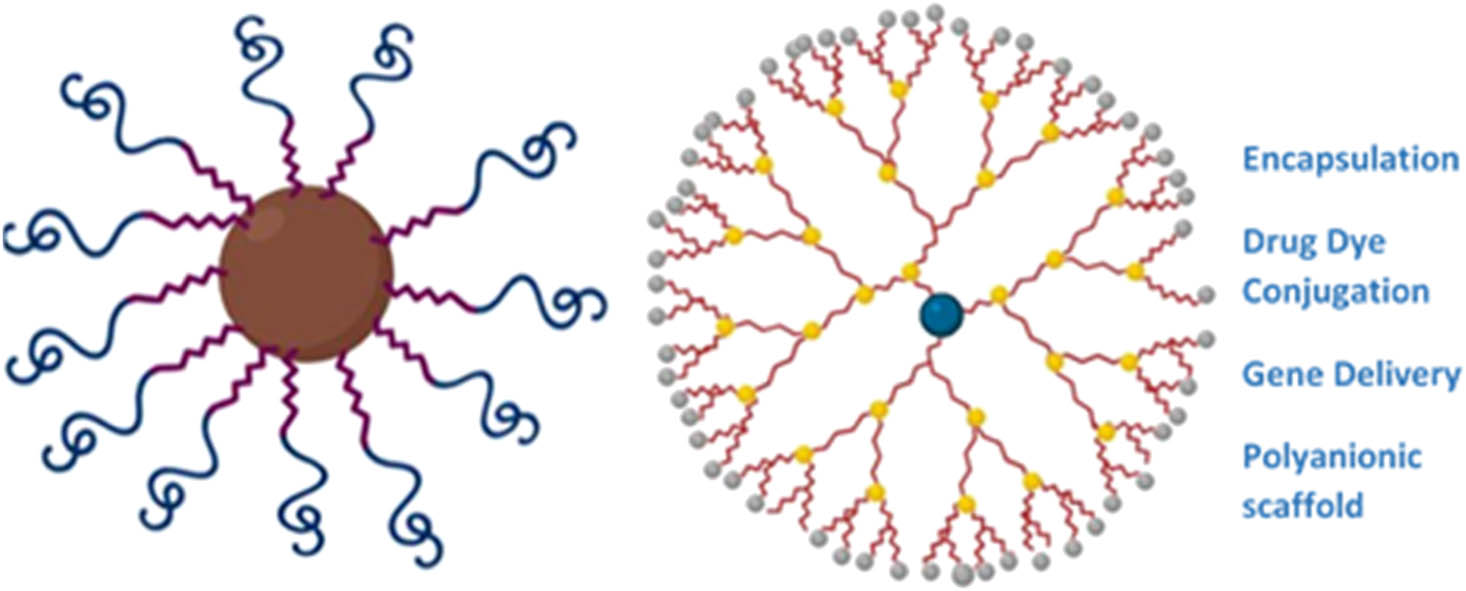 Figure 8 
                  Schematic representation of two types of polymeric nanostars’ structure and their medical application (Created with BioRender).
               