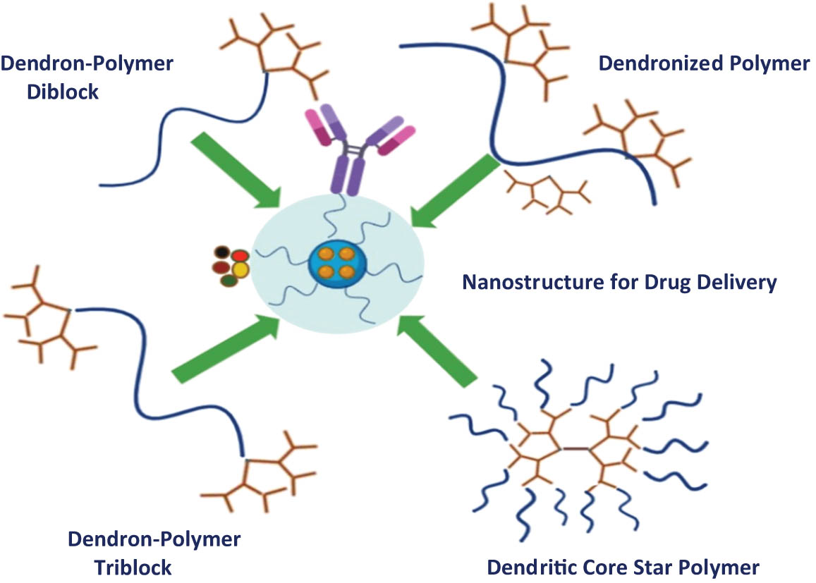 Figure 9 
                  Schematic illustration of ND structure [105] (Created with BioRender).
               