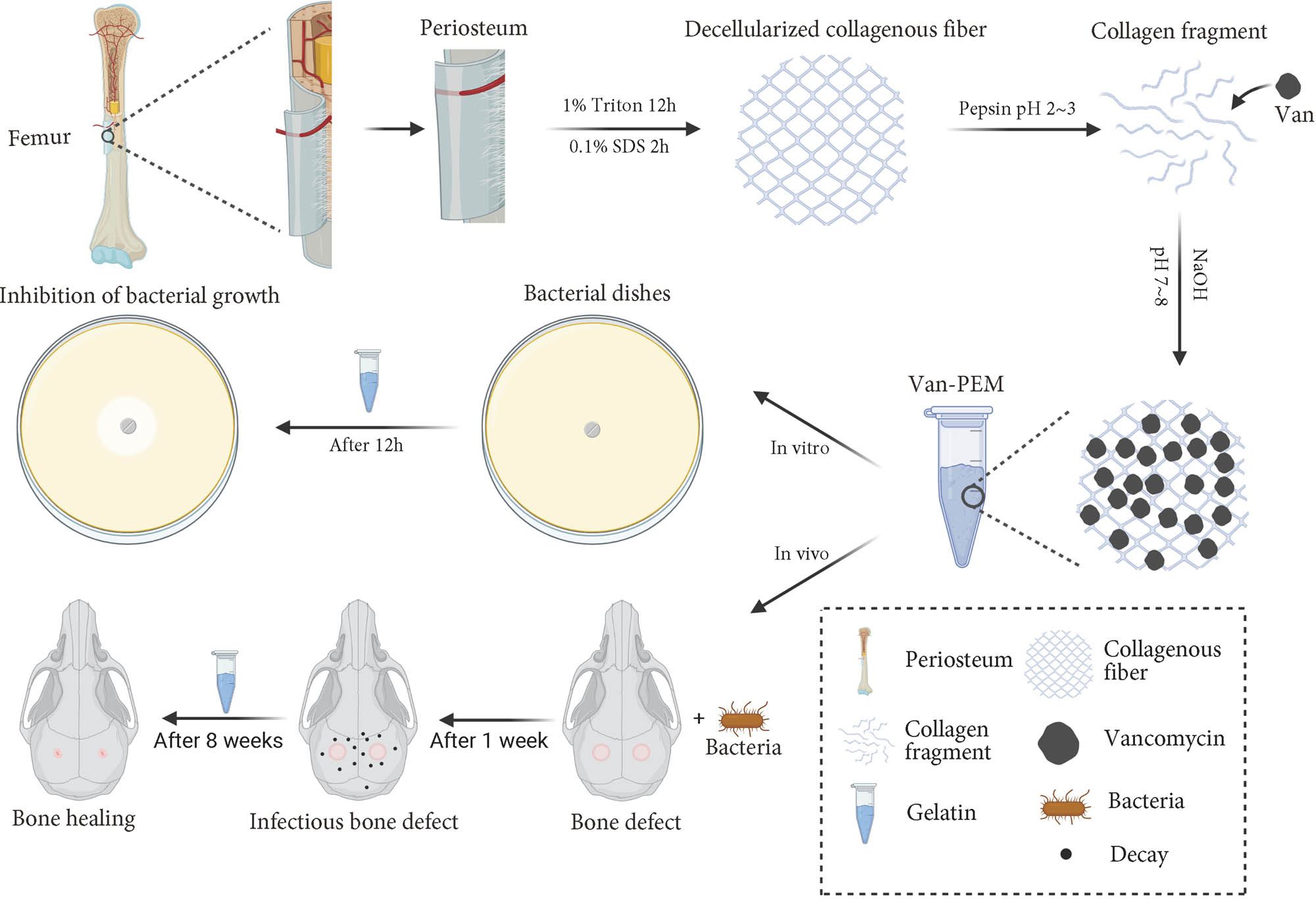 Teaser image from the article