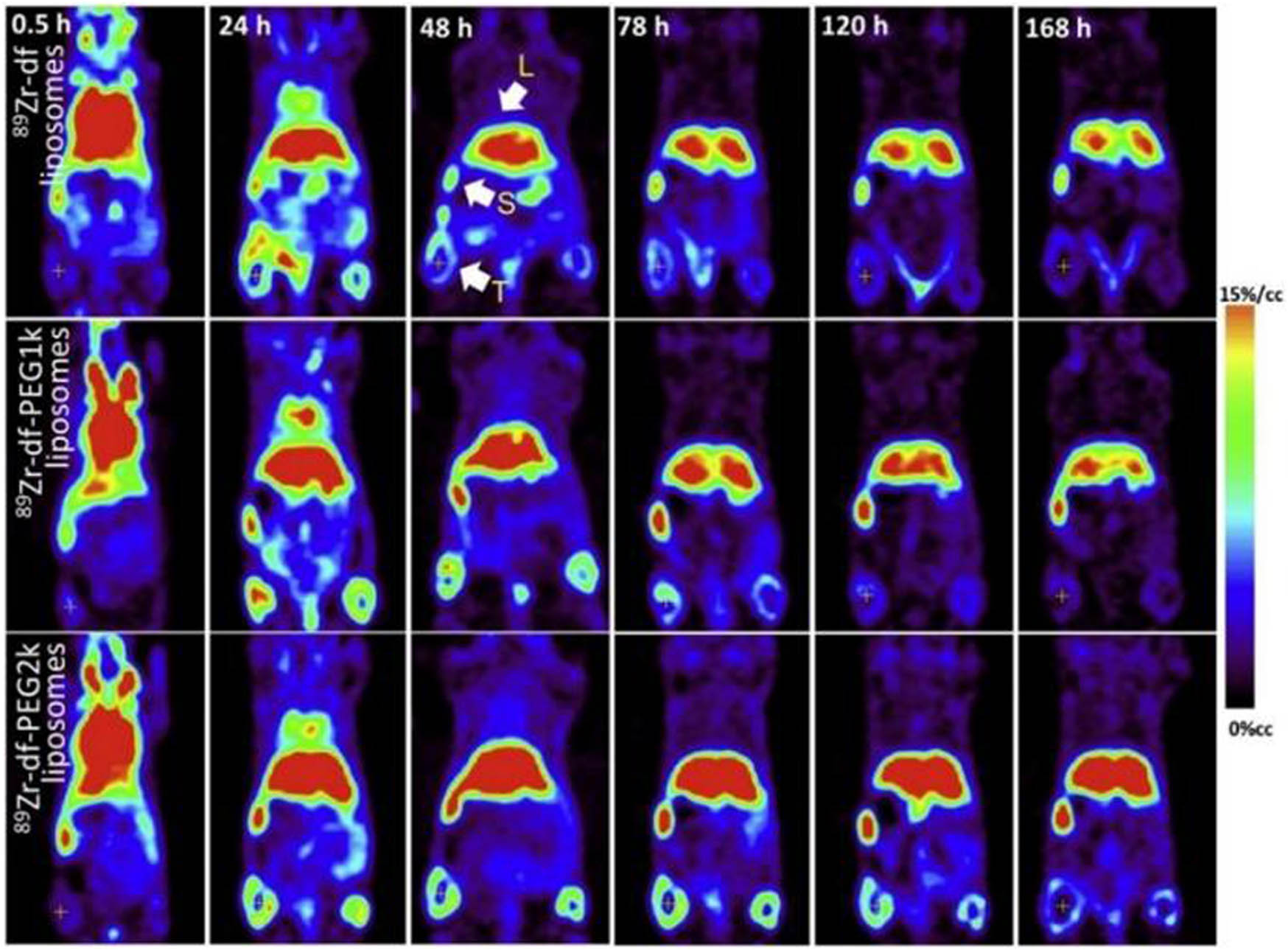Figure 3 
                  Time series of small-animal coronal PET images at indicate time points after injection of 89Zr-df liposomes (left), 89Zr-df-PEFlk liposomes (middle), and 89Zr-df-PEG2k liposomes (right) [44].
               
