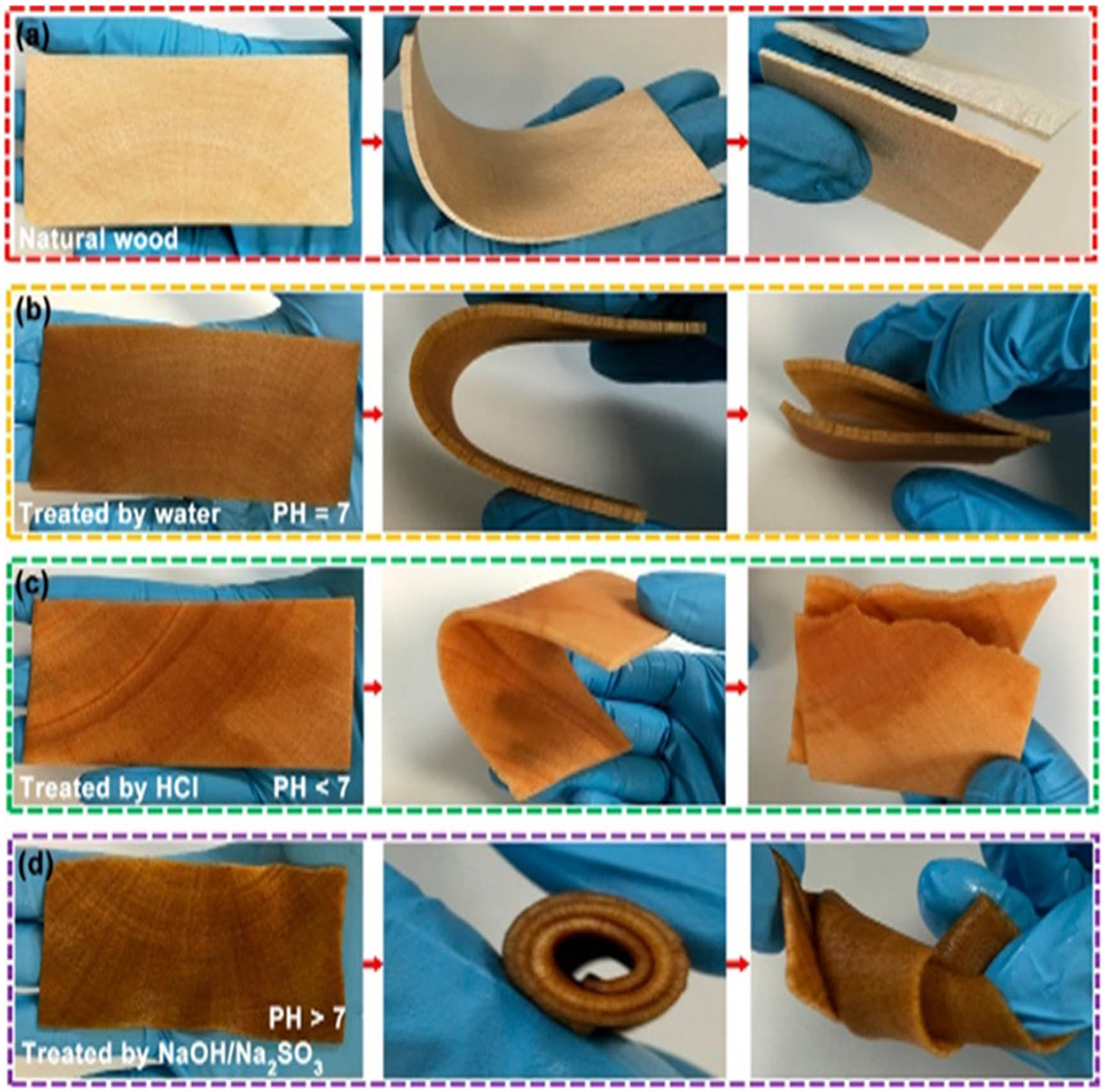 Figure 8 
               Some simple tests showing the final product flexibility after the treatment [114]. (a) Unmodified natural wood tissue, (b) water treatment done on natural wood tissue, (c) wood tissues are modified by HCl treatment, and (d) after NaOH/Na2SO3 treatment, wood tissues become highly flexible.
            