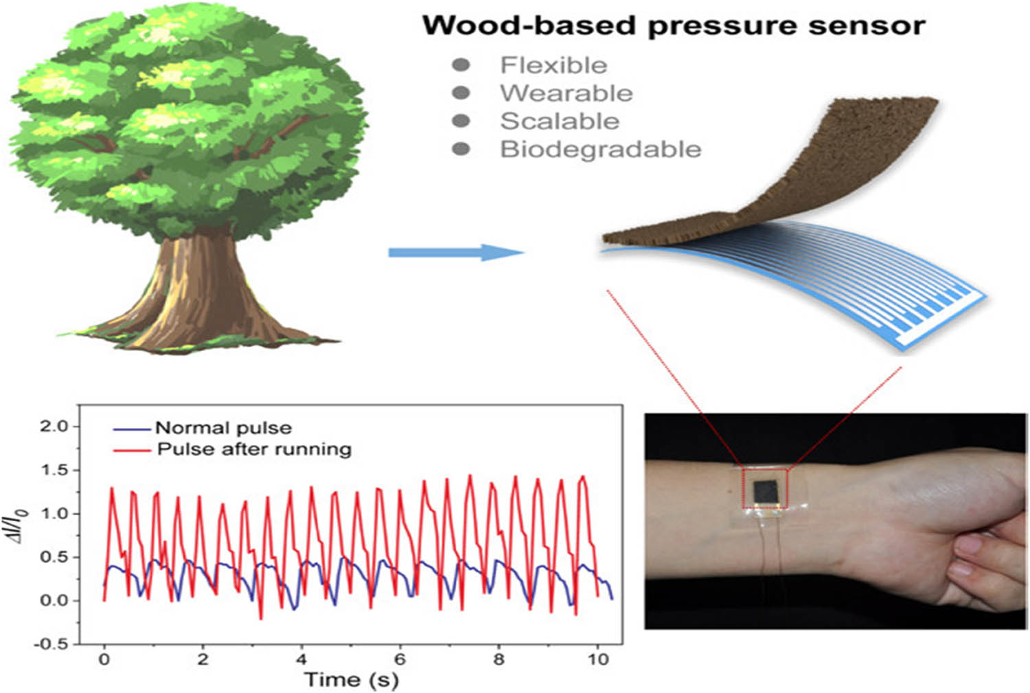 Figure 9 
               A wearable pressure sensor made of natural wood [115].
            